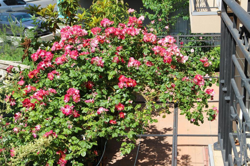Flowers Apartments نيسيبار المظهر الخارجي الصورة